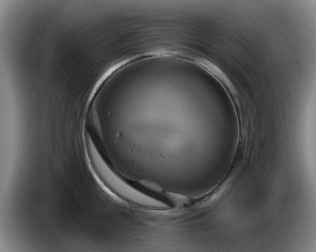 X0000086020855200703301031