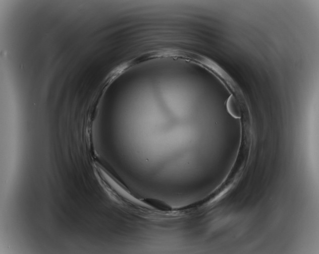 X0000086020857200703301031