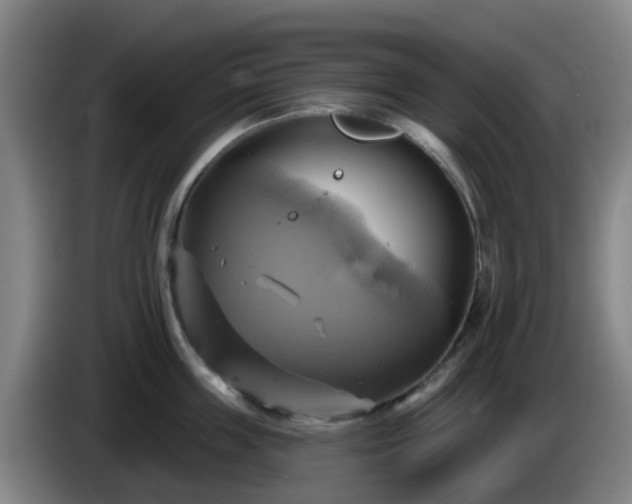 X0000086020859200703301031