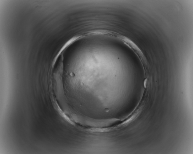 X0000086020860200703301031