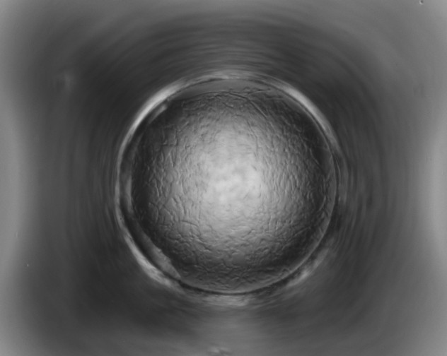 X0000086020861200703301031