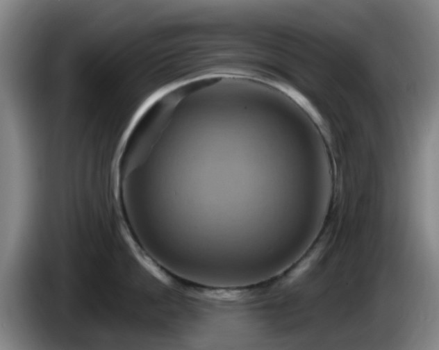 X0000086020862200703301031