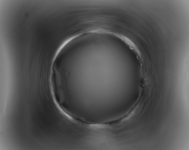 X0000086020863200703301031