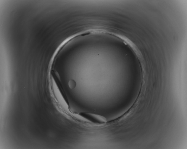 X0000086020864200703301031