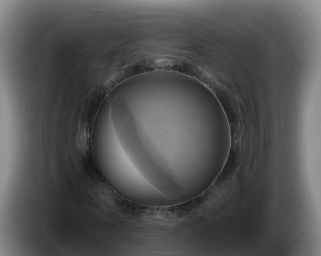 X0000086020866200703301030