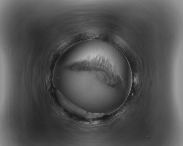 X0000086020867200703301030