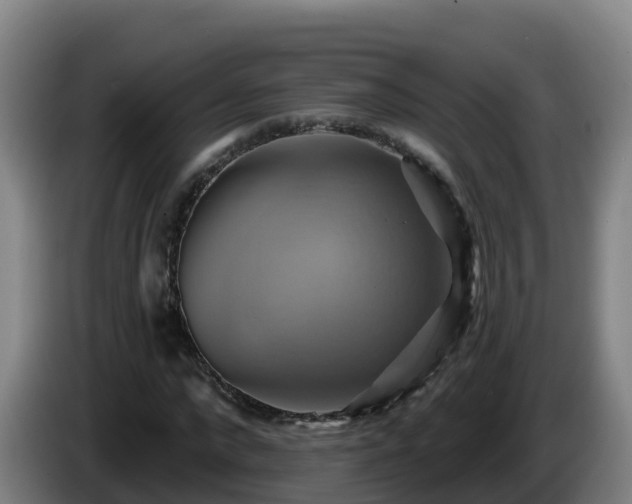 X0000086020872200703301030