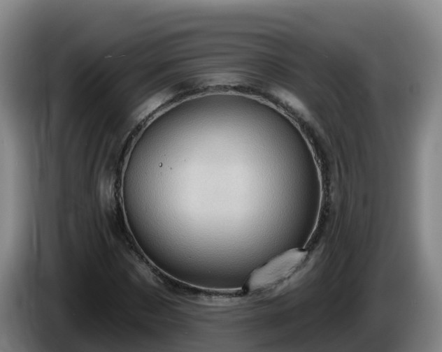 X0000086020873200703301030