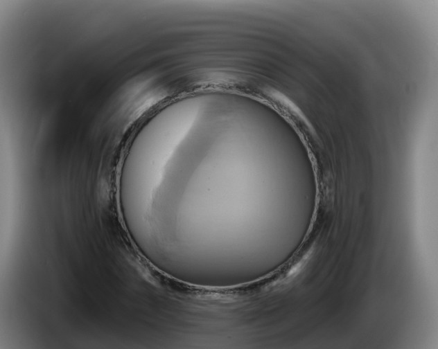 X0000086020874200703301030