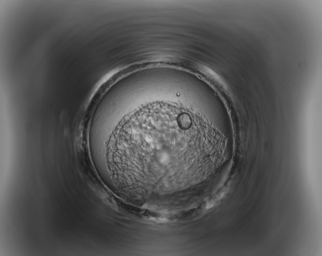 X0000086020875200703301030