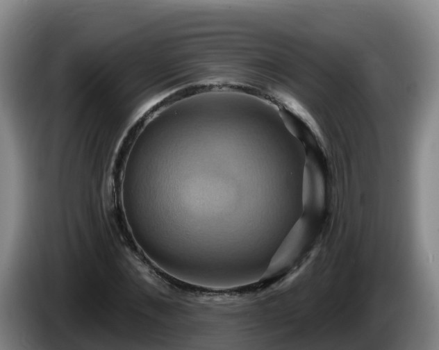 X0000086020876200703301030