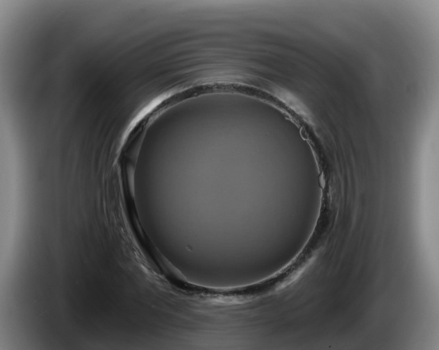 X0000086020877200703301030