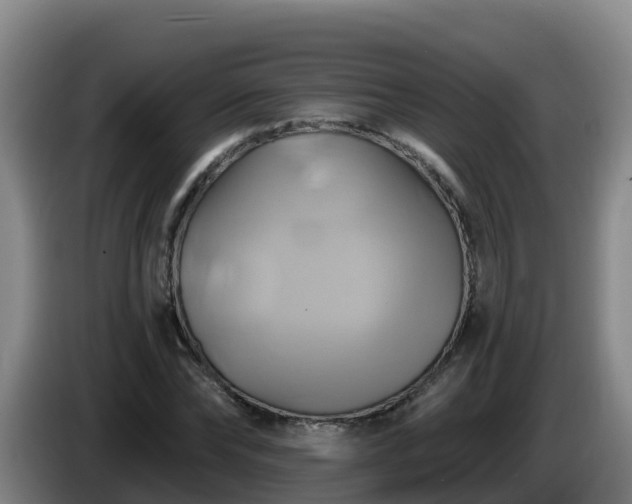 X0000086020878200703301030