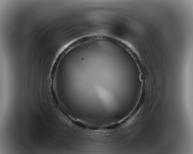 X0000086020879200703301030