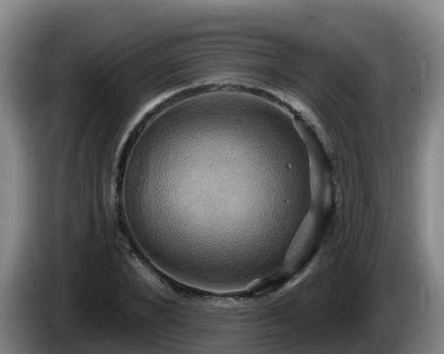 X0000086020880200703301030