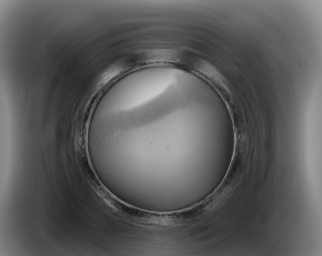 X0000086020882200703301030