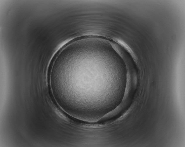 X0000086020884200703301030