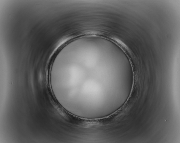X0000086020886200703301030