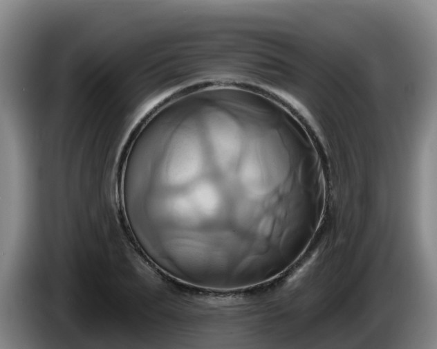 X0000086020887200703301030