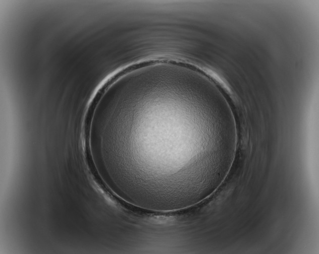 X0000086020888200703301030