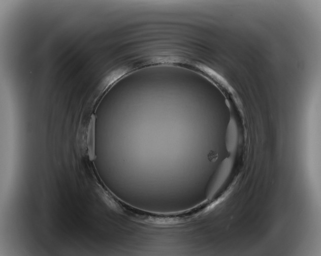 X0000086020889200703301030