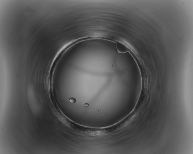 X0000086020891200703301030