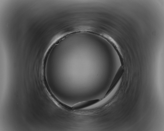 X0000086020894200703301030