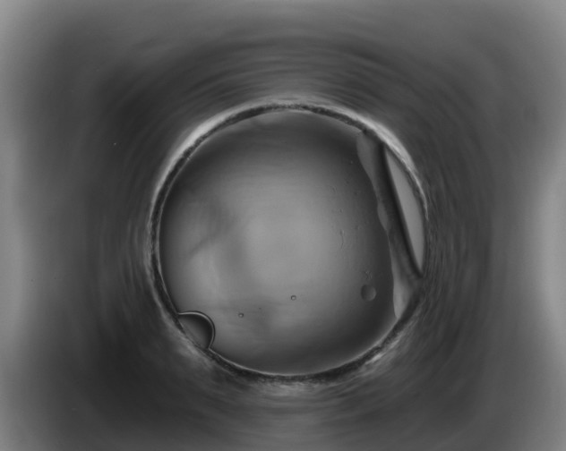X0000086020895200703301030