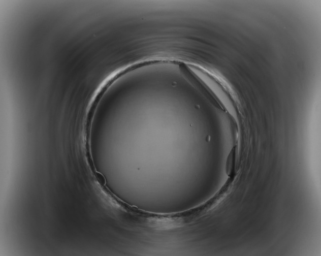 X0000086020896200703301030