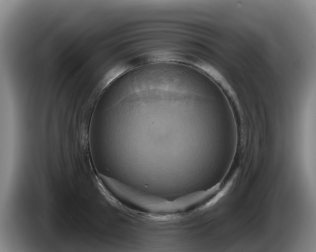 X0000086020897200703301030