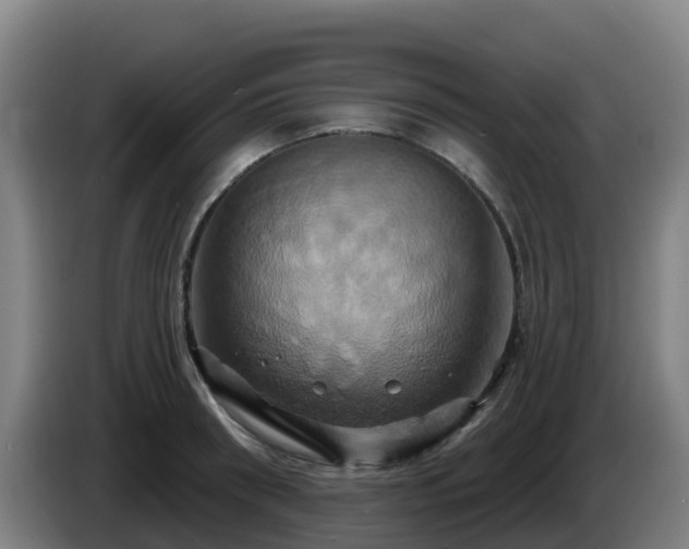 X0000086020898200703301030