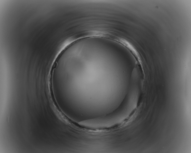 X0000086020899200703301030