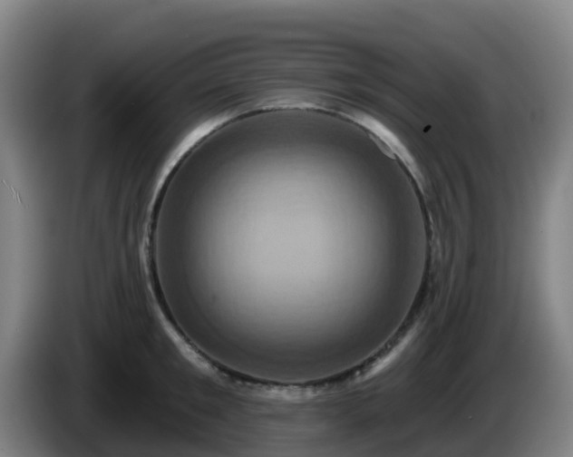 X0000086020901200703301030