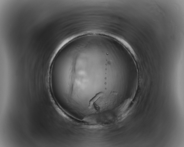 X0000086020903200703301030