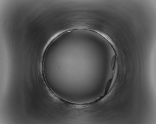 X0000086020904200703301030