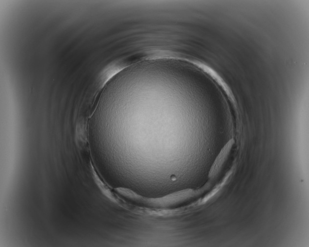 X0000086020905200703301030
