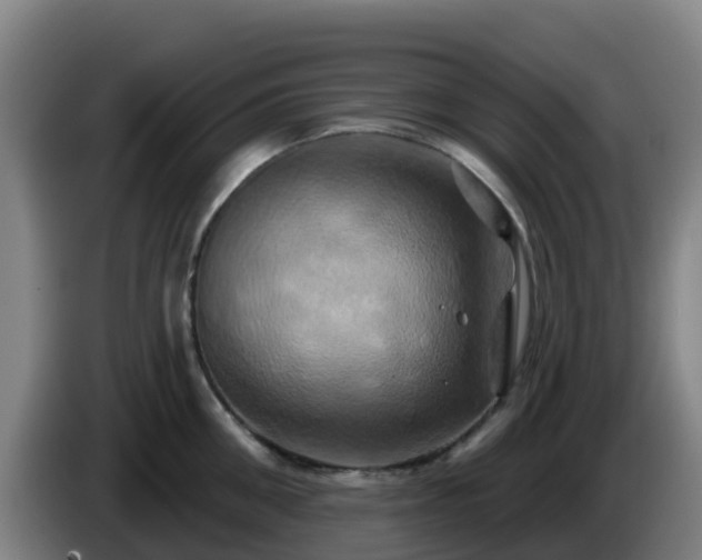 X0000086020906200703301029