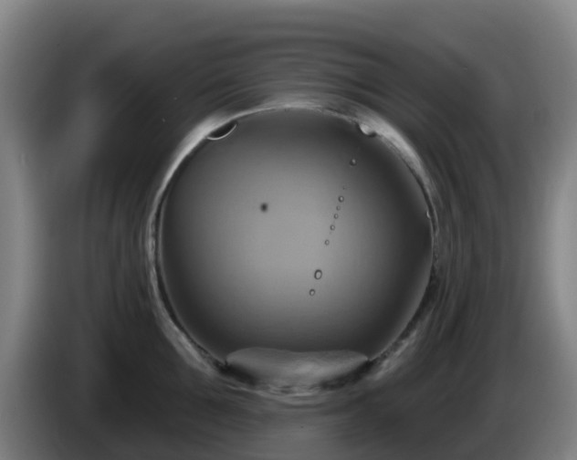 X0000086020907200703301029