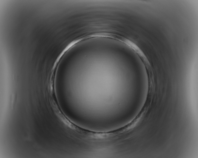 X0000086020908200703301029