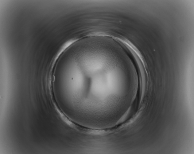 X0000086020909200703301029