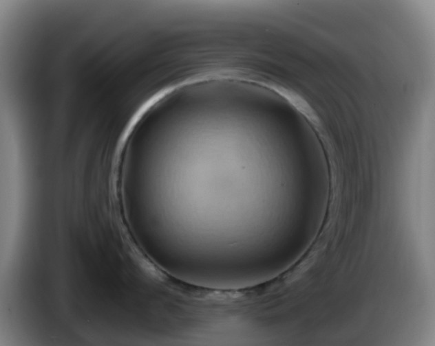 X0000086020912200703301029