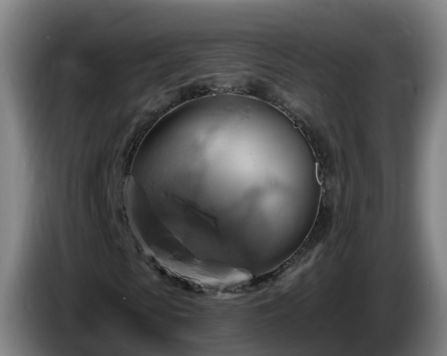 X0000086020913200703301029