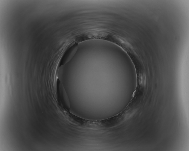 X0000086020915200703301029