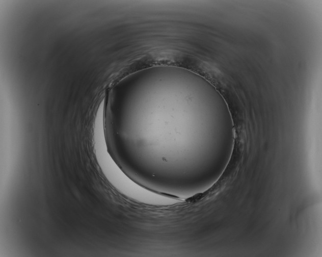 X0000086020916200703301029
