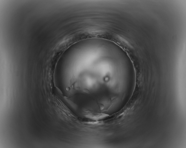 X0000086020917200703301029