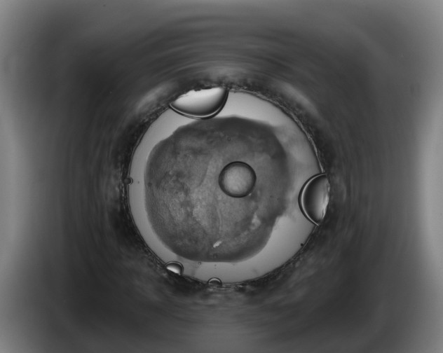X0000086020918200703301029