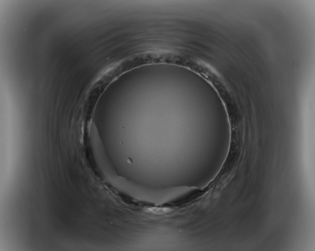 X0000086020919200703301029