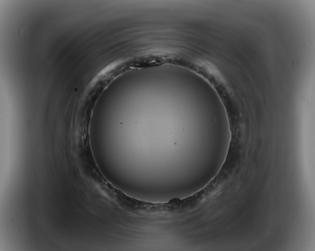 X0000086020920200703301029