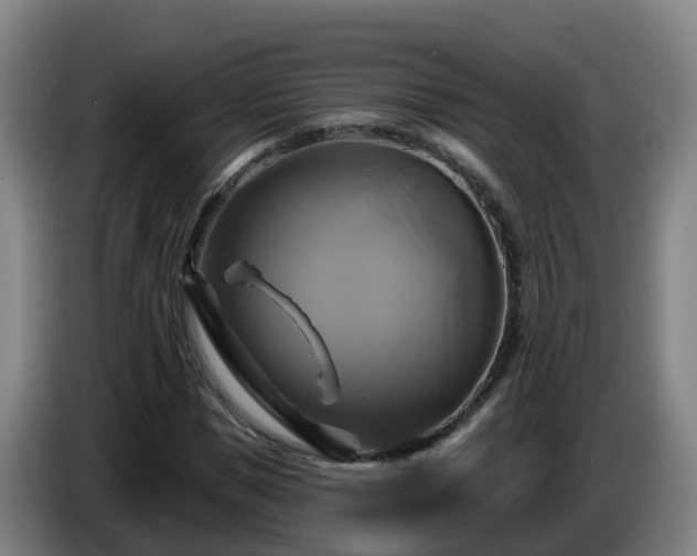 X0000086020921200703301029