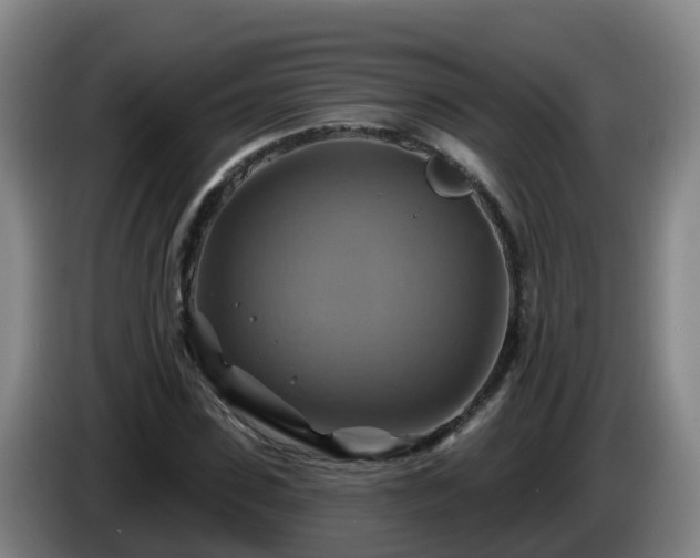 X0000086020923200703301029
